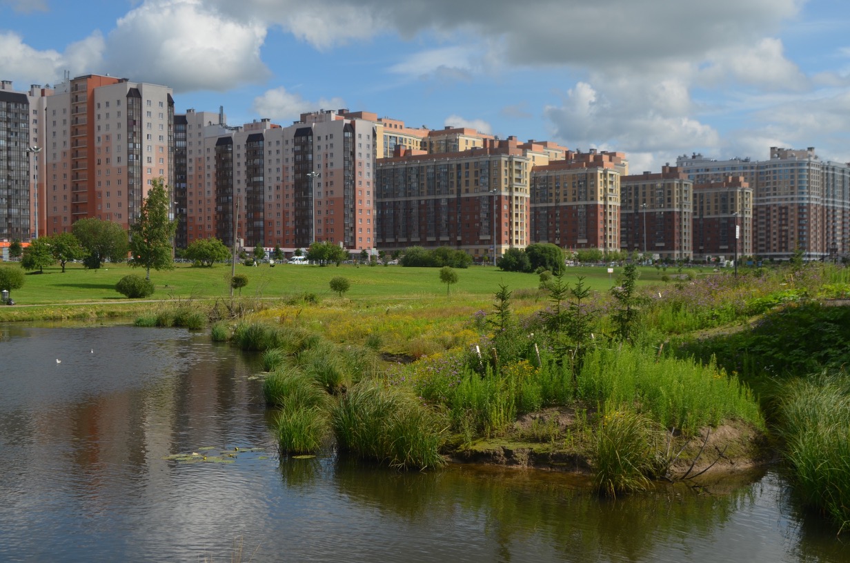 Городское поселение это. Парк Оккервиль. Лесопарк Оккервиль Кудрово. Парк Оккервиль СПБ. Кудрово новый Оккервиль.