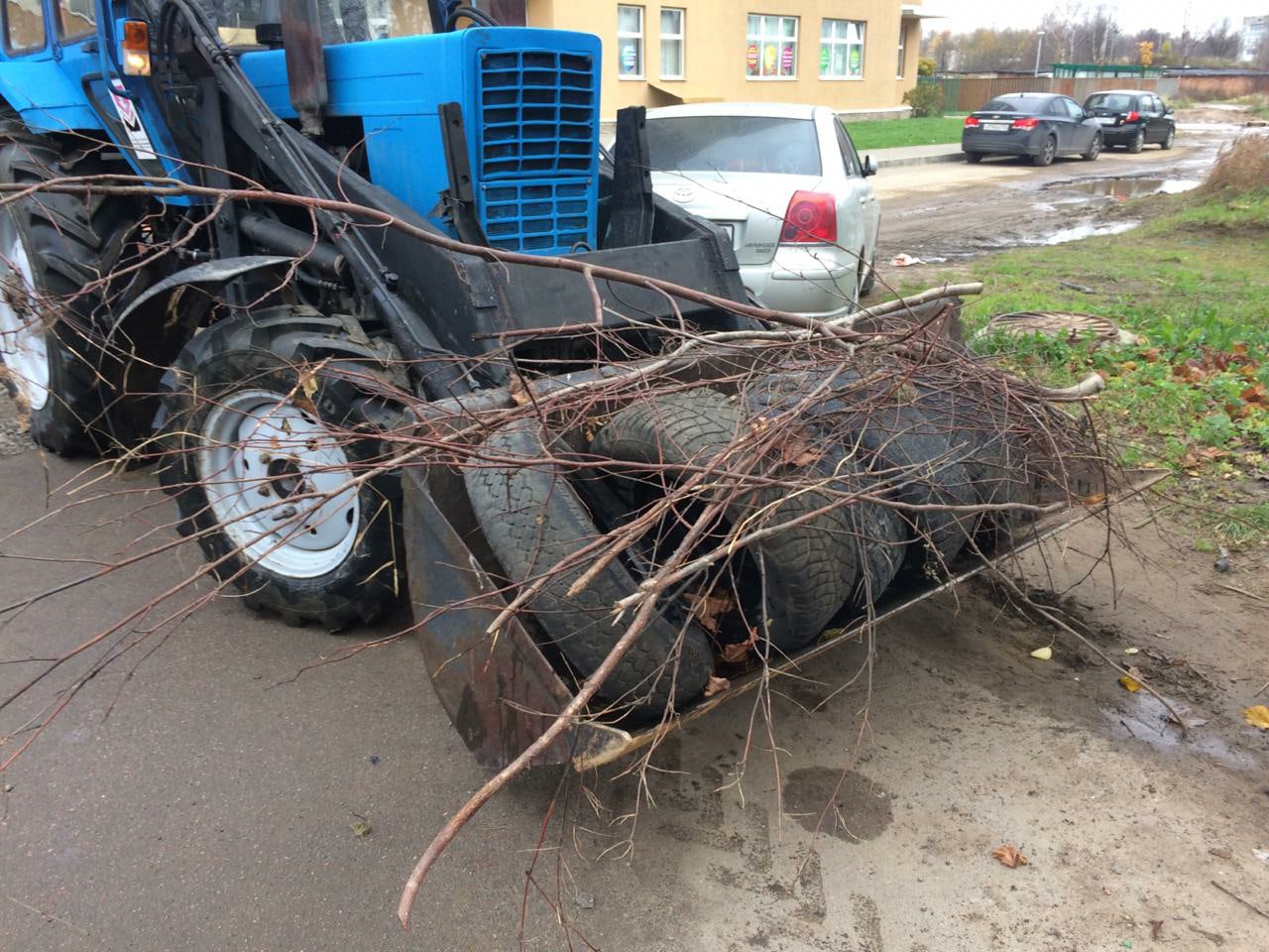 Отчет по сансодержанию за неделю – Заневское городское поселение