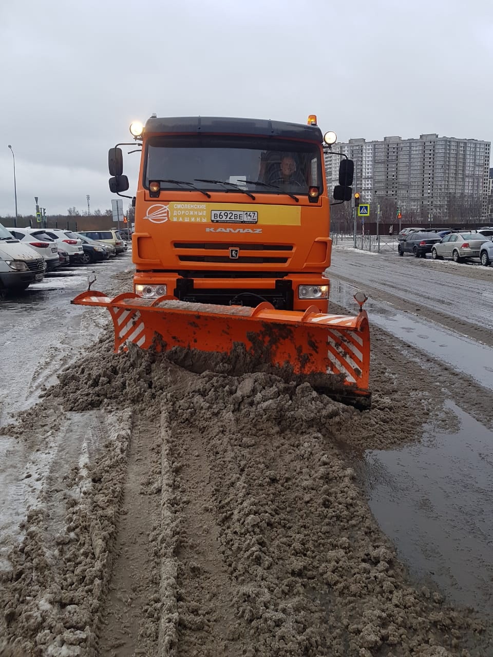 Отчет по санитарному содержанию – Заневское городское поселение