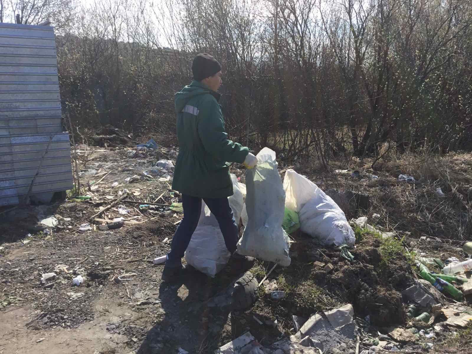 Приведение земельного участка в пригодное состояние